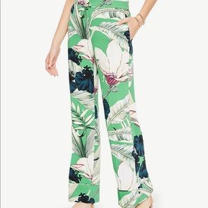 Ann Taylor trousers NWT